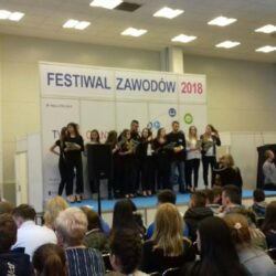 Uczniowie SP Nr 24 na festiwalu zawodów w Krakowie