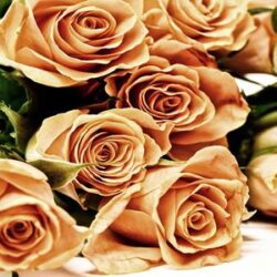 DZIEŃ KOBIET w SP24