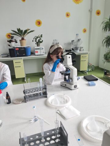 20250509_095758 (Copy)