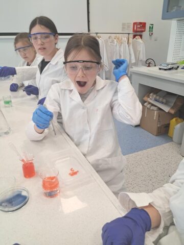 20250509_120551 (Copy)