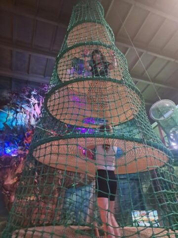 20250509_162429 (Copy)