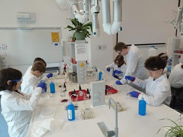 IMG-20250509-WA0032 (Copy)