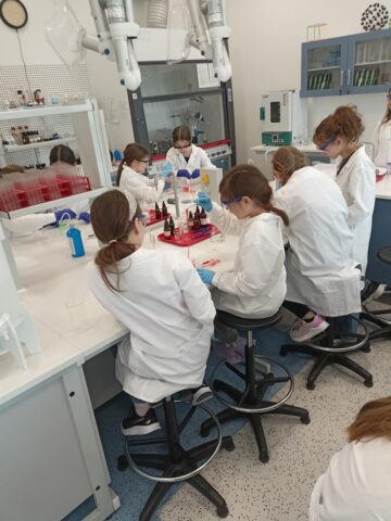 IMG-20250509-WA0039 (Copy)