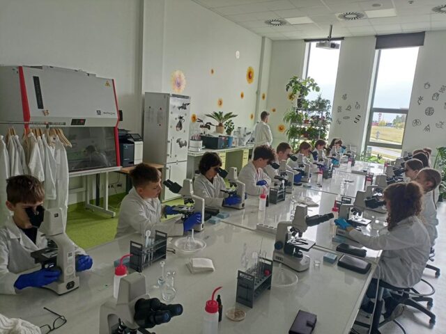 IMG-20250509-WA0061 (Copy)