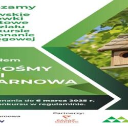Sukces uczniów SP24 w konkursie "Zaprośmy ptaki do Tarnowa".
